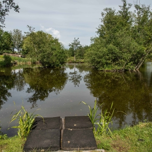 Redwell   17 06 2020   D500   Les 495.jpg